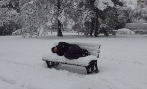 Walking in the snow can be very tiring - time for a little sleep!